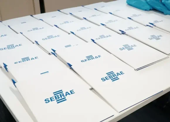 Sebrae-SP lança programa para impulsionar o faturamento de empresas de Bebedouro e região | ASN São Paulo