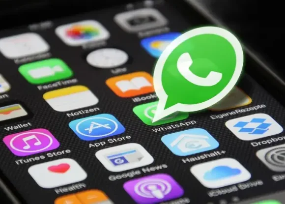 Sebrae-SP lança canal oficial no WhatsApp para os empreendedores da região de Ribeirão Preto | ASN São Paulo