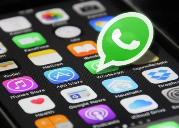 Sebrae-SP lança canal oficial no WhatsApp para empreendedores da região do Alto Tietê | ASN São Paulo