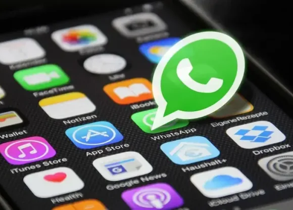 Sebrae-SP Franca lança canal oficial no WhatsApp para empreendedores da região | ASN São Paulo