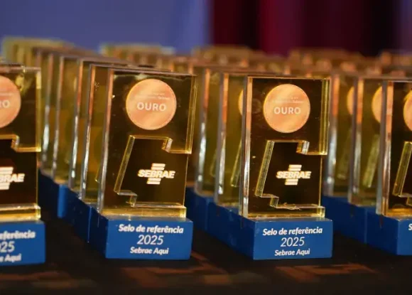 Seis unidades Sebrae Aqui da região de Piracicaba recebem selo ouro de referência em atendimento | ASN São Paulo