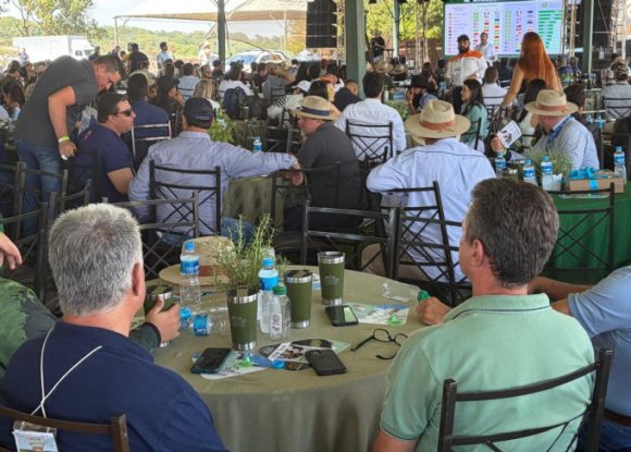 Sebrae-SP reforça apoio ao agro durante Dia de Campo em Morro Agudo | ASN São Paulo