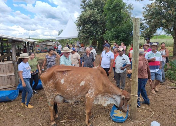 Aprendizado e inovação marcam Dia de Campo em Paulistânia com mais de 90 participantes | ASN São Paulo