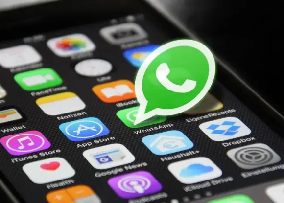 Sebrae-SP lança canal no WhatsApp para empreendedores de Guarulhos e região | ASN São Paulo