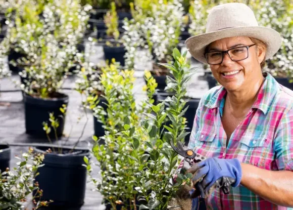 Dia de Campo Juçara apresenta tecnologia com foco na preservação e bioeconomia | ASN São Paulo