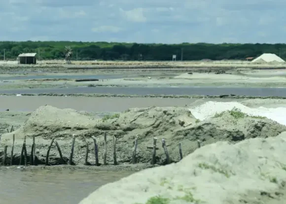 Conselho do Sebrae reforça atuação com visitas técnicas no Oeste Potiguar | ASN Rio Grande do Norte