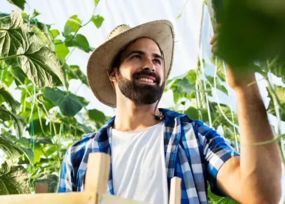 Sebrae-SP abre inscrições para agentes locais de inovação rural no Sudoeste Paulista e Alto Vale do Ribeira | ASN São Paulo