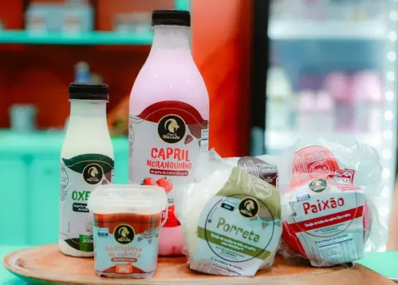 Queijos de cabra ganham espaço no mercado com produção artesanal no Agreste Potiguar | ASN Rio Grande do Norte