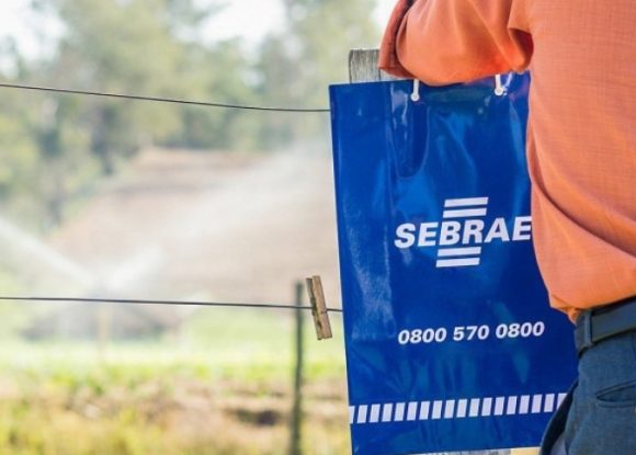 Sebrae-SP abre 34 vagas para agentes locais de inovação rural na região de Araçatuba | ASN São Paulo