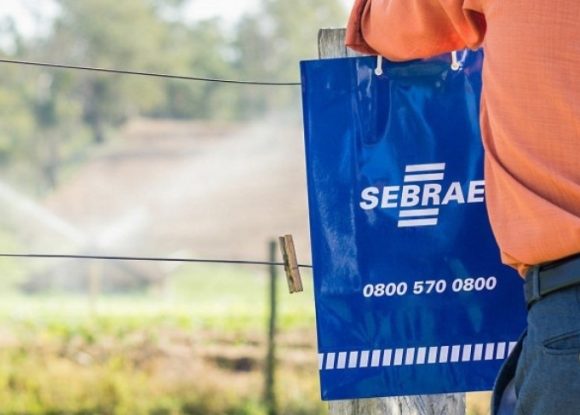 Sebrae-SP abre vagas para Agentes Locais de Inovação Rural na região de Barretos | ASN São Paulo