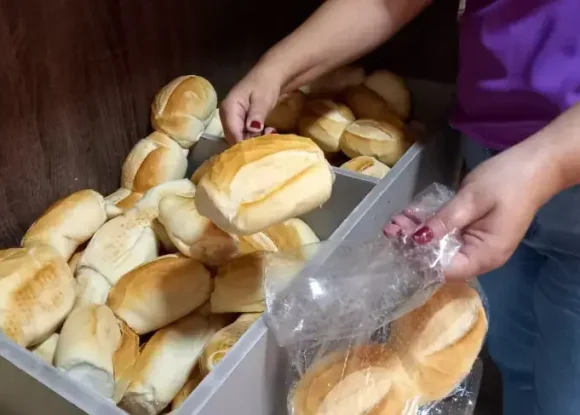 Estudo analisa padrão do pão francês em Natal e destaca padarias com melhor avaliação | ASN Rio Grande do Norte