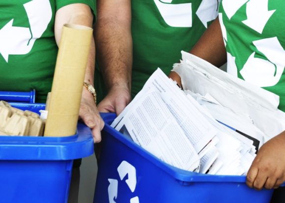 Sebrae lança MBA em ESG para impulsionar sustentabilidade nos pequenos negócios | ASN São Paulo