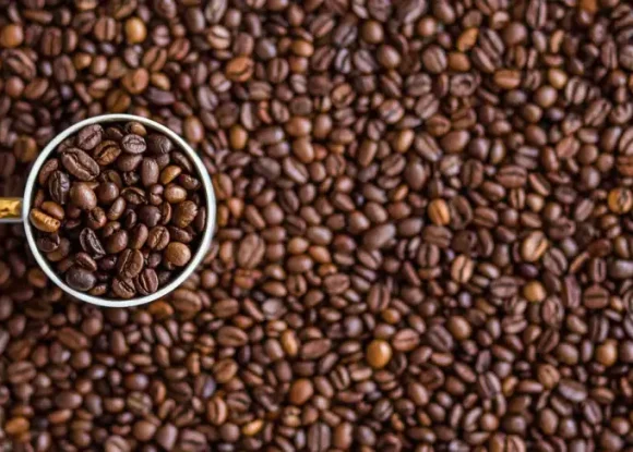 Sebrae-SP marca presença na exposição Brasis Cafés de Origem em Franca | ASN São Paulo